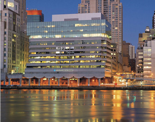 The Hospital for Special Surgery